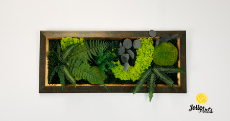Model Amazon – Tablou Licheni, Mușchi și Plante Naturale – Ramă Patinată [3]