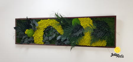 Tablou Model Amazon – Licheni, Mușchi, Plante Naturale – Ramă Clasică Negru / Maro – Jolie Arts [2]