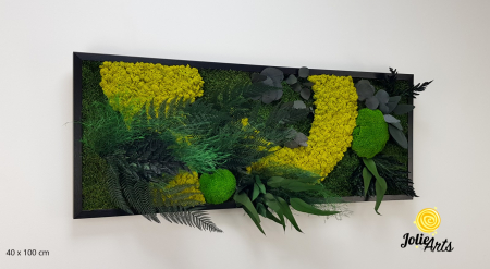 Toate Produsele - Tablou Model Amazon – Licheni, Mușchi, Plante Naturale – Ramă Clasică Negru / Maro – Jolie Arts