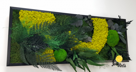 Tablou Model Amazon – Licheni, Mușchi, Plante Naturale – Ramă Clasică Negru / Maro – Jolie Arts [3]
