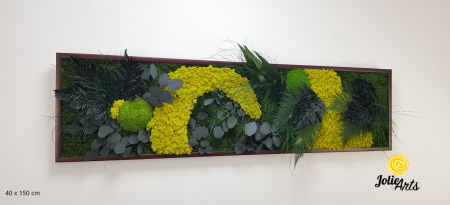 Tablou Model Amazon – Licheni, Mușchi, Plante Naturale – Ramă Clasică Negru / Maro – Jolie Arts [1]