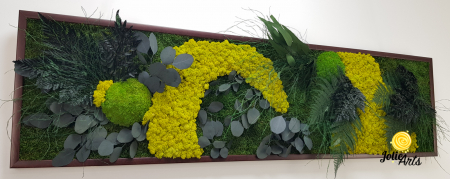 Tablou Model Amazon – Licheni, Mușchi, Plante Naturale – Ramă Clasică Negru / Maro – Jolie Arts [5]