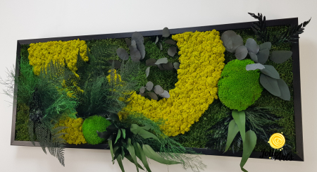 Tablou Model Amazon – Licheni, Mușchi, Plante Naturale – Ramă Clasică Negru / Maro – Jolie Arts [4]