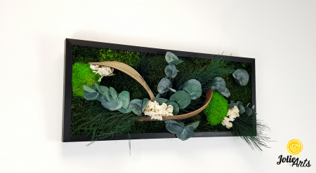 Tablou Aris – Mușchi bombat și plat, eucalipt, flori albe și frunze palmier, ramă neagră 30 x 70 cm [3]