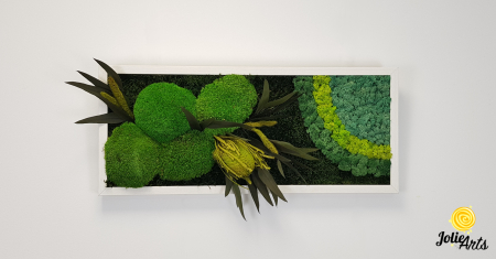 model-banksia-licheni-stabilizati-plante-naturale-conservate-muschi-de-padure-jolie-arts.jpg [3]