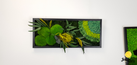 model-banksia-licheni-stabilizati-plante-naturale-conservate-muschi-de-padure-jolie-arts.jpg [3]