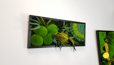 model-banksia-licheni-stabilizati-plante-naturale-conservate-muschi-de-padure-jolie-arts.jpg [4]