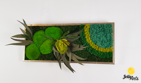 model-banksia-licheni-stabilizati-plante-naturale-conservate-muschi-de-padure-jolie-arts.jpg [1]