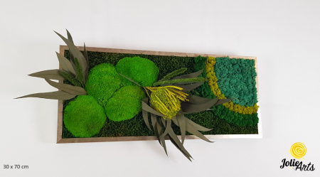 Tablouri cu licheni, muschi si plante naturale stabilizate - model-banksia-licheni-stabilizati-plante-naturale-conservate-muschi-de-padure-jolie-arts.jpg