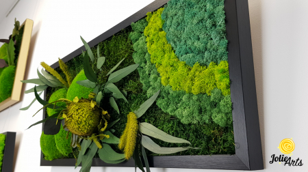 model-banksia-tablou-licheni-muschi-plante-naturale-stabilizate-jolie-arts.jpg [6]