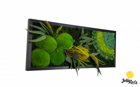 model-banksia-tablou-licheni-muschi-plante-naturale-stabilizate-jolie-arts.jpg [1]