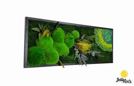 Tablouri - model-banksia-tablou-licheni-muschi-plante-naturale-stabilizate-jolie-arts.jpg