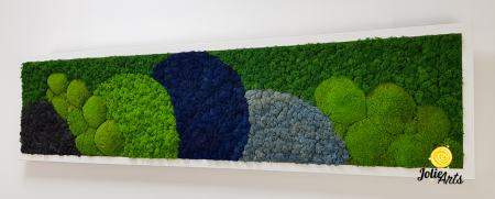 Tablou Blue Jamaica – licheni și mușchi bombat, ramă albă 30 x 120 cm [5]