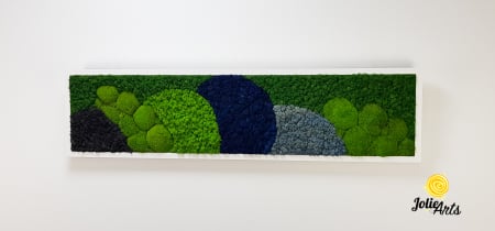 Tablou Blue Jamaica – licheni și mușchi bombat, ramă albă 30 x 120 cm [2]