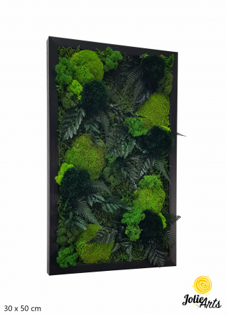 Toate Produsele - Model Cheers, Tablou Muschi, Licheni si Plante Naturale Stabilizate
