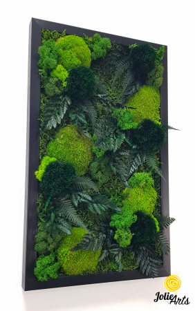 Model Cheers, Tablou Muschi, Licheni si Plante Naturale Stabilizate [2]
