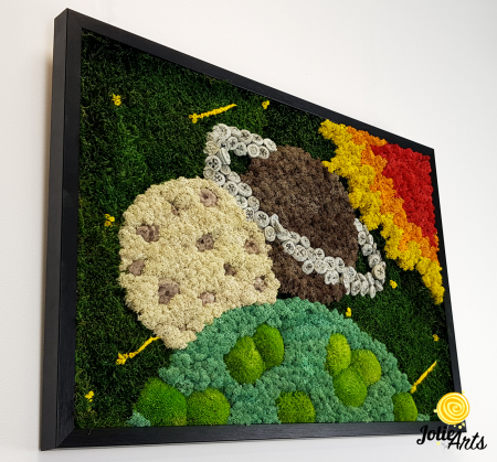 Tablou Cosmos cu licheni, mușchi bombat și plante naturale – ramă neagră, 50 x 70 cm [5]