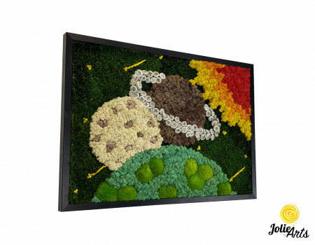 Tablou Cosmos cu licheni, mușchi bombat și plante naturale – ramă neagră, 50 x 70 cm [1]