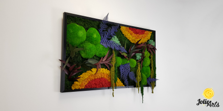 tablou curcubeu plante stabilizate muschi naturali orizontal Jolie Arts [4]