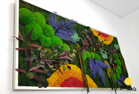 tablou curcubeu plante stabilizate muschi naturali orizontal Jolie Arts [5]