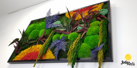 tablou curcubeu plante stabilizate muschi naturali orizontal Jolie Arts [6]