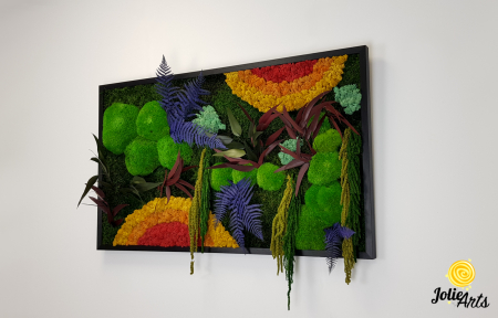 tablou curcubeu plante stabilizate muschi naturali orizontal Jolie Arts [2]