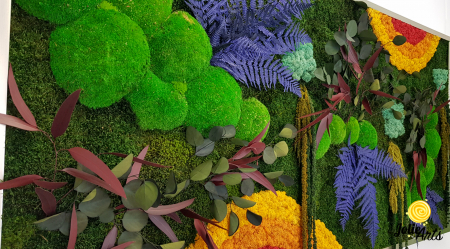 Tablou Curcubeu plante conservate mușchi licheni stabilizați 80x160 cm [3]