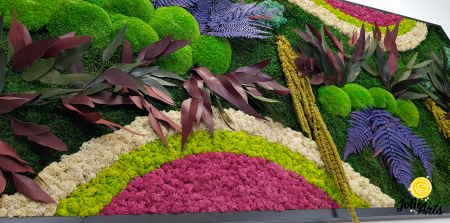 Tablou Curcubeu Inserții Cyclamen licheni stabilizați Jolie Arts [5]