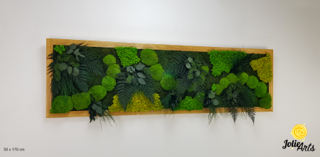Tablou Emerald Forest cu licheni, mușchi și plante naturale – ramă aurie, 50 x 170 cm [1]