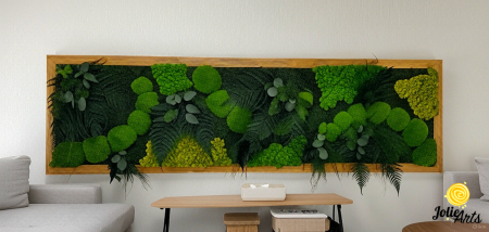 Tablouri - Tablou Emerald Forest cu licheni, mușchi și plante naturale – ramă aurie, 50 x 170 cm