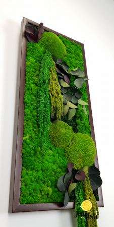 Tablou Etsy – Vertical, cu Licheni, Mușchi și Plante Naturale Stabilizate [5]