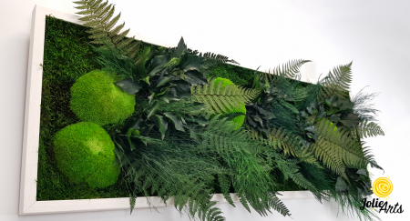 Tablou Exotic – Mușchi, Eucalipt și Plante Stabilizate [1]