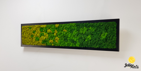 Model Green Chromatic, Tablou Licheni Naturali Stabilizati [1]
