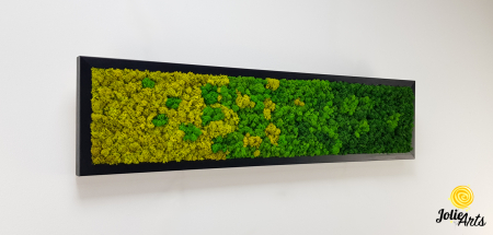 Model Green Chromatic, Tablou Licheni Naturali Stabilizati [3]