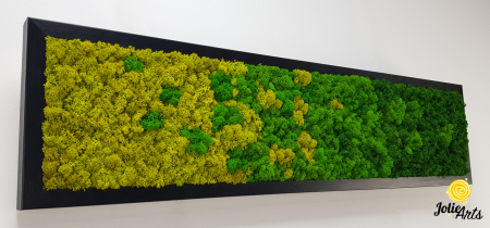 Model Green Chromatic, Tablou Licheni Naturali Stabilizati [5]