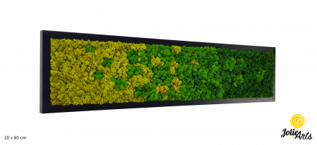 Toate Produsele - Model Green Chromatic, Tablou Licheni Naturali Stabilizati