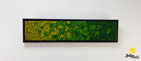 Model Green Chromatic, Tablou Licheni Naturali Stabilizati [2]