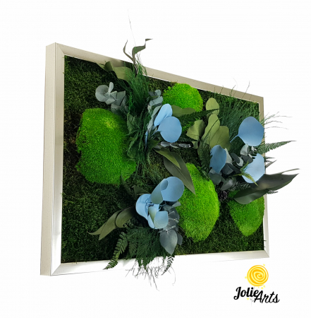 Tablou Green Day Blue Touch Licheni Mușchi Plante Stabilizate [2]