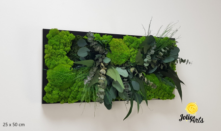 Tablouri - Tablou Green Day cu Licheni și Plante Naturale Stabilizate – Jolie Arts