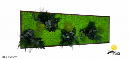 Tablouri - Tablou Green Day cu Licheni și Plante Naturale Stabilizate – Jolie Arts