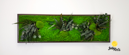 Tablou Green Day cu Licheni și Plante Naturale Stabilizate – Jolie Arts [3]