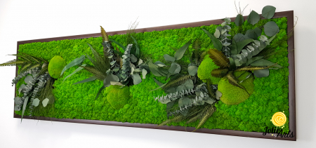 Tablou Green Day cu Licheni și Plante Naturale Stabilizate – Jolie Arts [5]