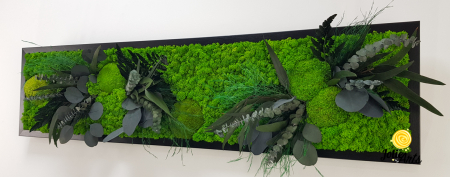 Tablou Green Day cu Licheni și Plante Naturale Stabilizate – Jolie Arts [3]