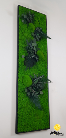 green-day-vertical-licheni-rama-neagra [4]