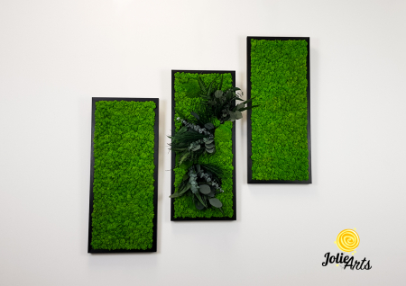 Set 3 Tablouri Green Day – Licheni și Plante Naturale Stabilizate [2]
