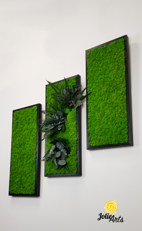 Set 3 Tablouri Green Day – Licheni și Plante Naturale Stabilizate [1]