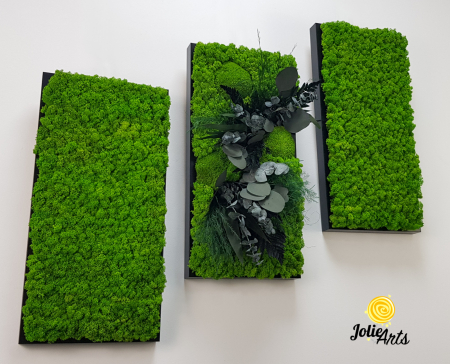 Set 3 Tablouri Green Day – Licheni și Plante Naturale Stabilizate [4]