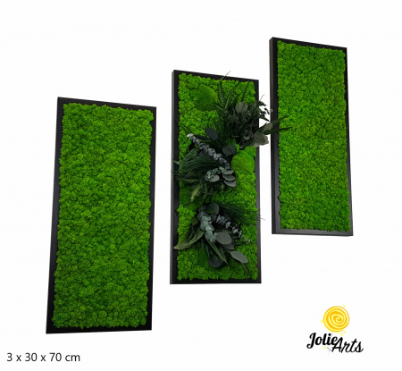 Set 3 Tablouri Green Day – Licheni și Plante Naturale Stabilizate