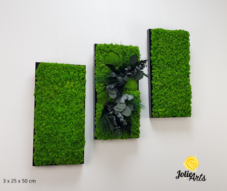 Tablouri licheni - Set 3 Tablouri Green Day – Licheni și Plante Naturale Stabilizate