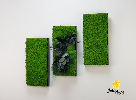 Set 3 Tablouri Green Day – Licheni și Plante Naturale Stabilizate [1]